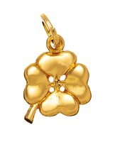 Charm Giovanni Raspini Donna in Argento 08581